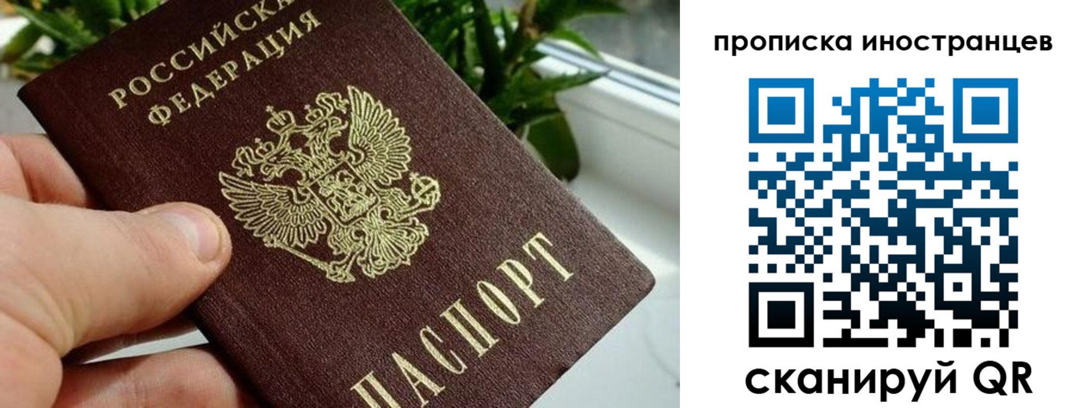 временная регистрация в Ельне
